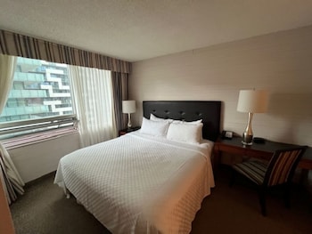 Deluxe Suite, 1 King Bed with Sofa bed
