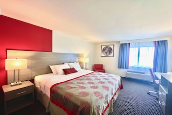 Room, 1 King Bed, Non Smoking