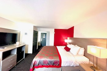 Room, 1 King Bed, Non Smoking
