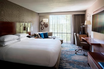Room, 1 King Bed (Mobility/Hearing Access, Roll-In Shwr)