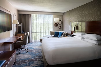 Concierge Room, Room, 1 King Bed