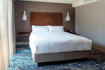 Room, 1 King Bed (Mobility/Hearing Access, Roll-In Shwr)