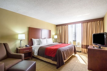 Suite, 1 King Bed with Sofa bed, Non Smoking (1 Person Sofa Bed)