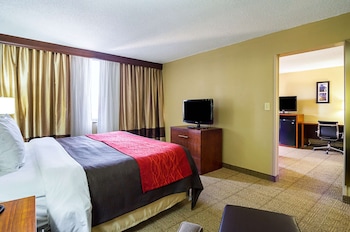 Suite, 1 King Bed with Sofa bed, Non Smoking (1 Person Sofa Bed)