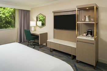 One King Bed