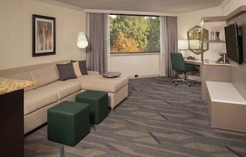 One King Bed, Alcove Suite