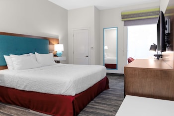 Room, 1 King Bed (Walk-In Shower)