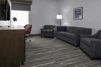 Suite, 1 King Bed, Accessible (Roll-In Shower)