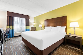 Room, 1 King Bed, Accessible, Non Smoking (Accessible Tub)