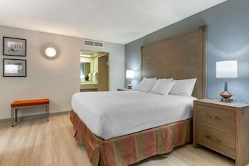 Standard Room, 1 King Bed, Accessible, Non Smoking (Larger Room;with Sofabed)
