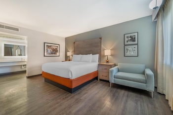 Standard Room, 1 King Bed, Non Smoking, Refrigerator & Microwave (Pet Friendly)