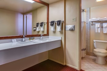 Standard Room, 1 King Bed, Non Smoking, Refrigerator & Microwave (Pet Friendly)