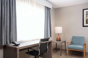 Standard Room, 1 King Bed, Accessible, Non Smoking (Larger Room;with Sofabed)