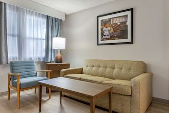 Standard Room, 2 Queen Beds, Non Smoking (Pet Friendly;Larger Room;with Sofabed)
