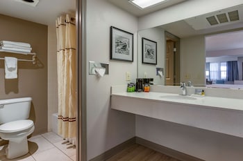 Standard Room, 2 Queen Beds, Accessible, Non Smoking (Larger Room;with Sofabed)