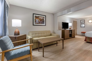 Standard Room, 1 King Bed, Accessible, Non Smoking (Larger Room;with Sofabed)