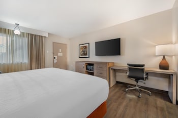 Standard Room, 1 King Bed, Non Smoking, Refrigerator & Microwave (Pet Friendly)
