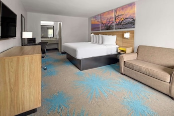 Room, 1 King Bed, Non Smoking