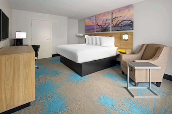 Room, 1 King Bed, Accessible, Non Smoking (Mobility Accessible)
