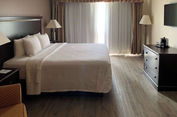 Suite, 1 Bedroom, Non Smoking