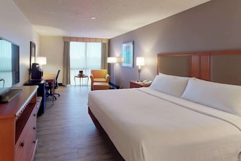 Room, 1 King Bed, Accessible, Non Smoking