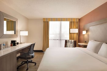 Room, 1 King Bed, Accessible, Non Smoking