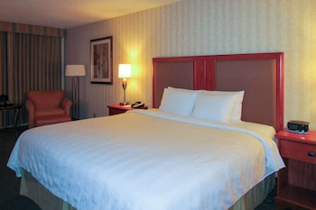 Room, 1 King Bed, Accessible, Non Smoking