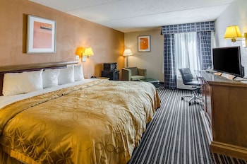 Standard Room, 1 King Bed, Non Smoking