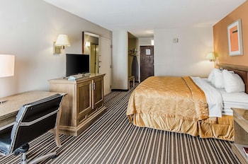 Standard Room, 1 King Bed, Non Smoking