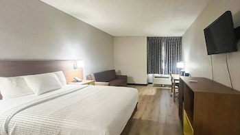 Room, 1 King Bed with Sofa bed, Non Smoking (Microwave & Fridge)