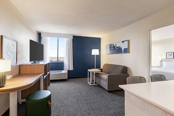 Suite, 1 King Bed, Accessible (3x3 Shower)