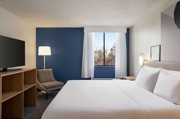 Suite, 1 Bedroom