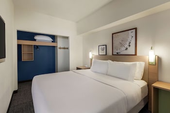 Room, 1 King Bed with Sofa bed