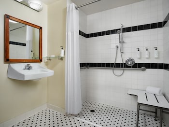 Room, 1 King Bed, Accessible (Inside Stateroom)