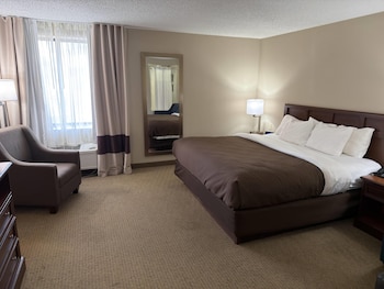 Suite, 1 King Bed, Non Smoking (Efficiency)