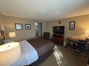 Room, 1 Queen Bed, Accessible, Non Smoking (Mobility, Roll-in Shower)