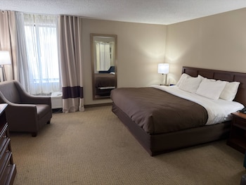 Suite, 1 King Bed, Non Smoking (Efficiency)