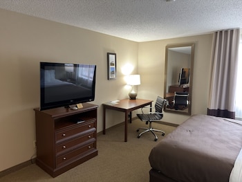 Deluxe Room, 1 King Bed, Non Smoking