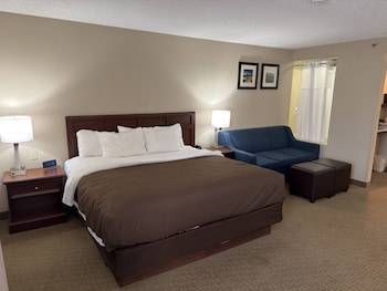 Suite, 1 King Bed, Non Smoking (Efficiency)