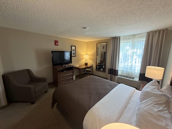 Room, 1 Queen Bed, Accessible, Non Smoking (Mobility, Roll-in Shower)