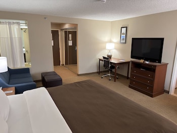 Suite, 1 King Bed, Non Smoking (Efficiency)