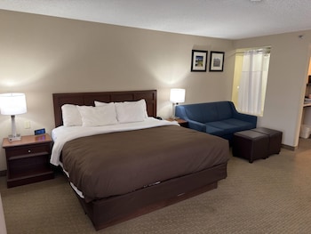 Suite, 1 King Bed, Non Smoking (Efficiency)
