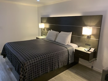 Single Room, 1 King Bed