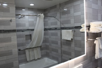 Deluxe Single Room, 1 King Bed