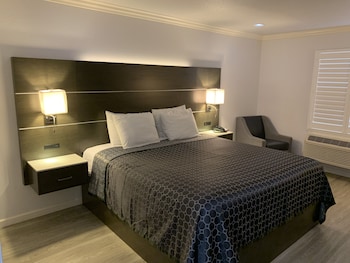 Single Room, 1 King Bed