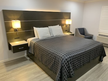 Single Room, 1 King Bed