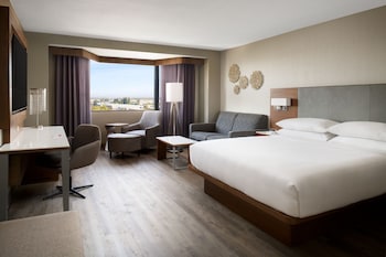 Room, 1 King Bed with Sofa bed