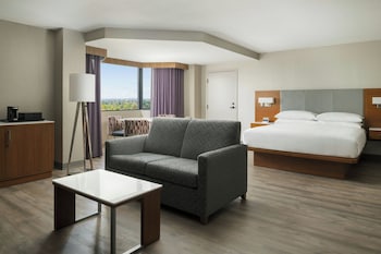 Junior Studio, 1 King Bed with Sofa bed