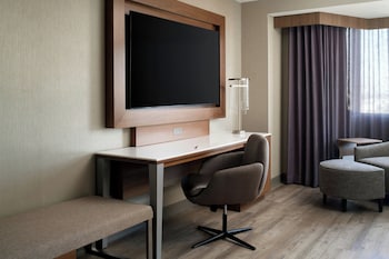 Room, 1 King Bed with Sofa bed