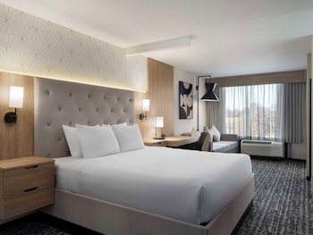 Room, 1 King Bed, Accessible, Bathtub